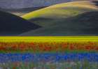 Curves and colors Art Print