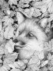 Fox and Forest Large Art Print