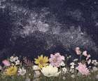Galaxy In Bloom Colour Original Art Print
