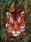 Jungle Tiger Majesty Colour Original Art Print