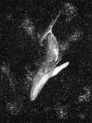 Magic Ocean Whale Large Art Print