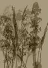 Misty Meadow. Abstract Botanical Art No.8 Art Print