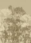 Misty Meadow. Abstract Botanical Art No.5 Art Print