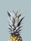 Pineapple 1 Art Print