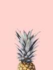 Pineapple 2 Art Print