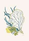 Algae No1 Art Print