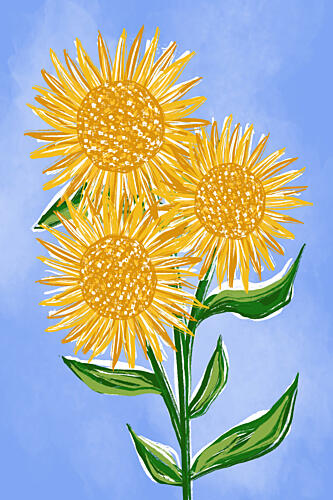 Sunny Sunflowers Art Print by Martina