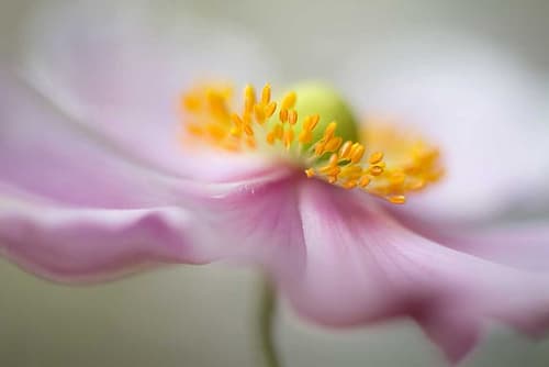 Untitled Art Print by Mandy Disher