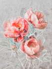 Blossom Symphony Art Print