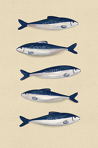 Blue Sardines Pattern Art Print by EMELIEmaria
