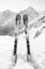 Ski Snow Alps Black and White Art Print