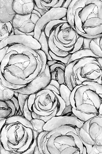 Soft Gray Roses Art Print by EMELIEmaria
