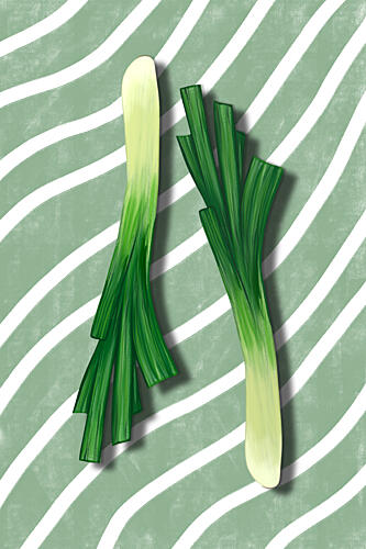 Fresh Green Onions Art Print by EMELIEmaria