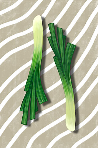 Fresh Green Scallions Art Print by EMELIEmaria