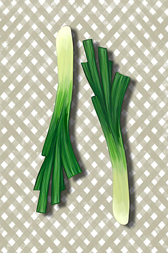 Fresh Green Leeks Art Print by EMELIEmaria