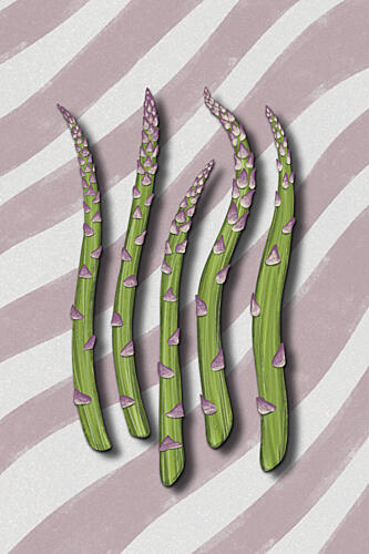 Vibrant Asparagus Spears Art Print by EMELIEmaria
