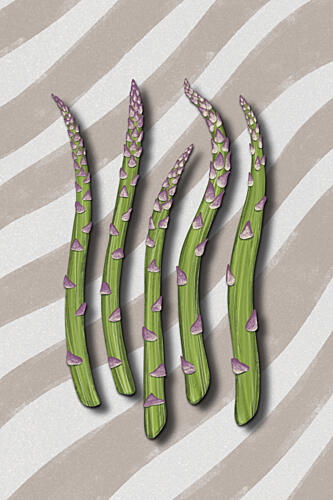 Fresh Green Asparagus Art Print by EMELIEmaria