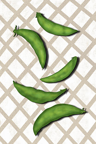 Fresh Green Pea Pods Art Print by EMELIEmaria