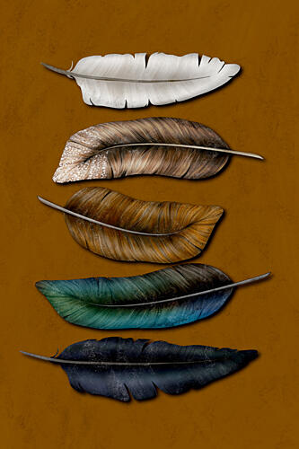 Colorful Natural Feathers Art Print by EMELIEmaria