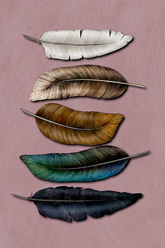 Earthy Feather Collection Art Print by EMELIEmaria