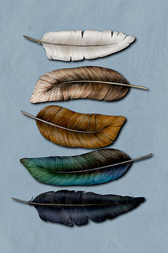 Elegant Natural Feathers Art Print by EMELIEmaria