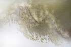 Neutral Tones - Earth Song Art Print by Petra Meikle de