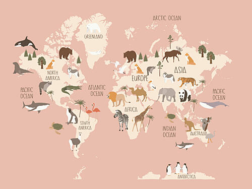 Global Wildlife Guide Art Print