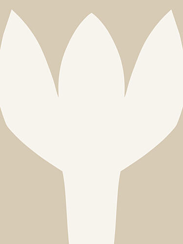 Dual-Tone Blossom Art Print