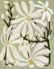 Star Magnolia Florals on Sage background Art Print