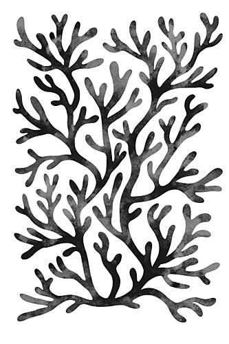 Flowing Black Coral Art Print by EMELIEmaria