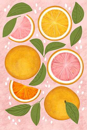 Pink Citrus Delight Art Print by EMELIEmaria