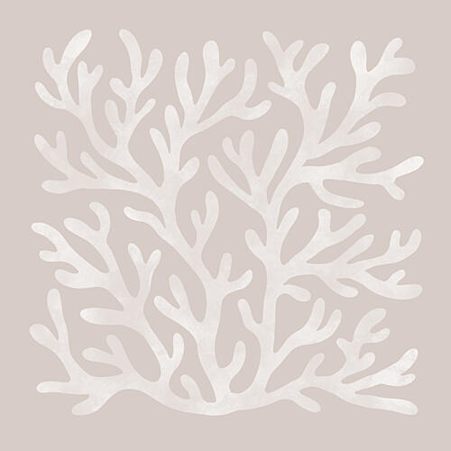 Soft Beige Coral Art Print by EMELIEmaria