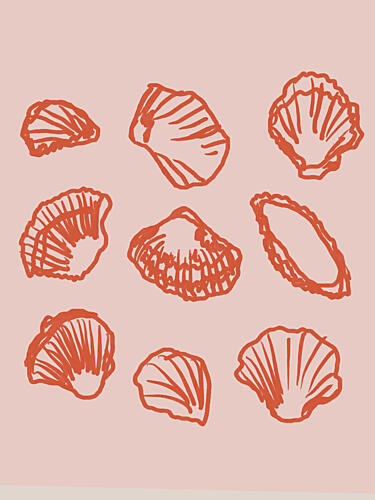 Coral Shell Symphony Art Print