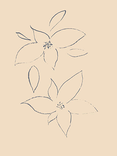 Petals in Sketch Art Print