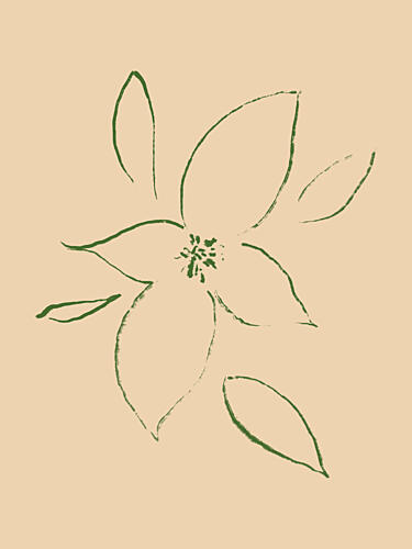 Gentle Blossom Sketch Art Print