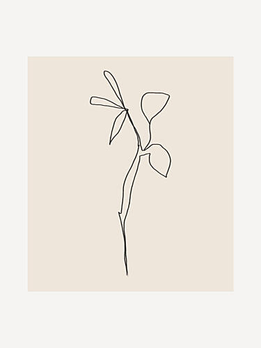 Simple Graceful Line Art Print