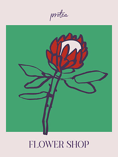 Protea Blooming Art Print