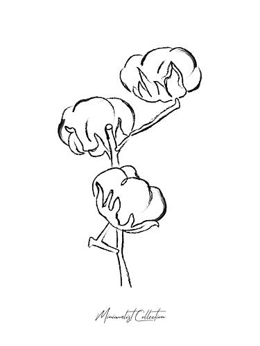 Simple Cotton Stalk Art Print