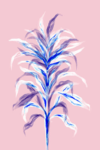 Soft Botanical Blush Art Print by Martina