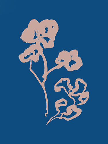 Petal Silhouettes Art Print