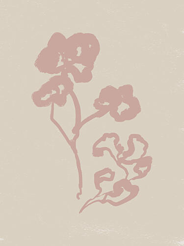 Delicate Petals Art Print