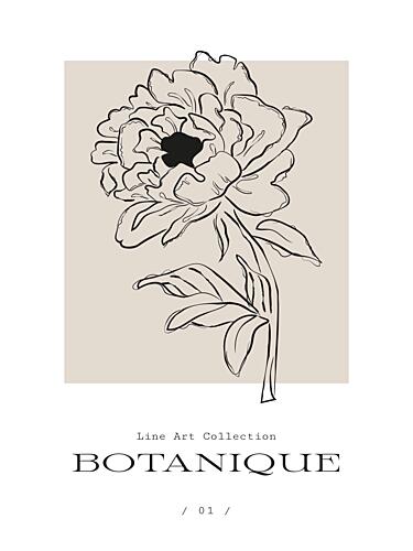 Floral Elegance Art Print