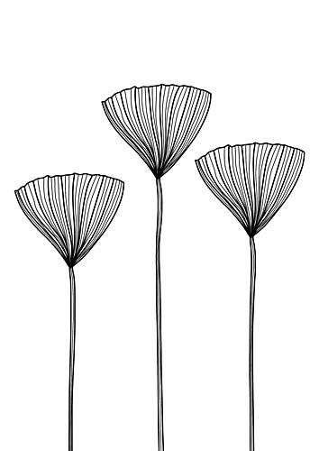 Three Abstract Line Flowers Art Print by Bainai