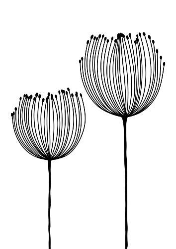 Minimalist Botanical Lines Art Print by Bainai