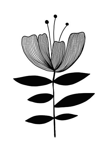 Minimalist Botanical Lines Art Print by Bainai