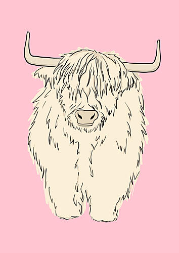 Pink Highland Coo Art Print by Bainai