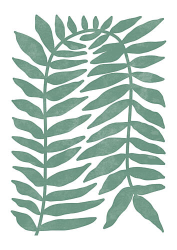 Green Fern Fronds Art Print by Bainai