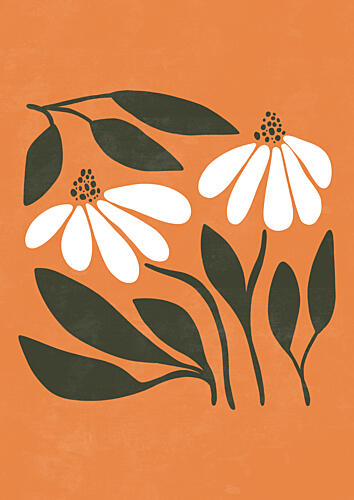 Modern Daisy Duo Art Print by Bainai