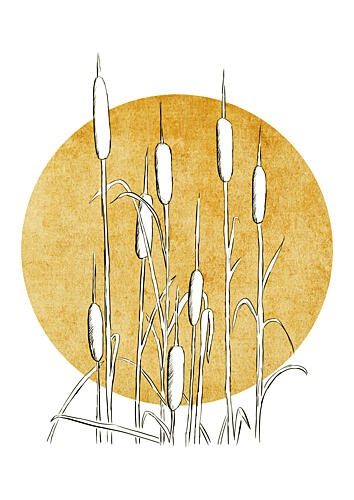 Golden Cattails Art Print by Bainai
