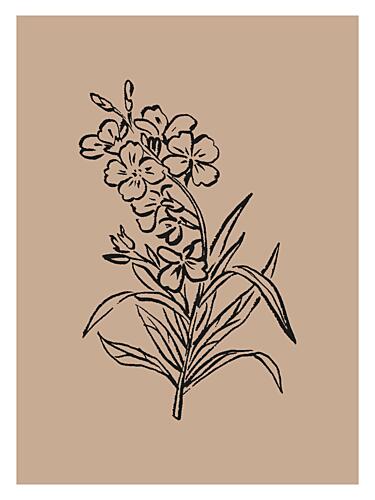 Delicate Blossoms Art Print